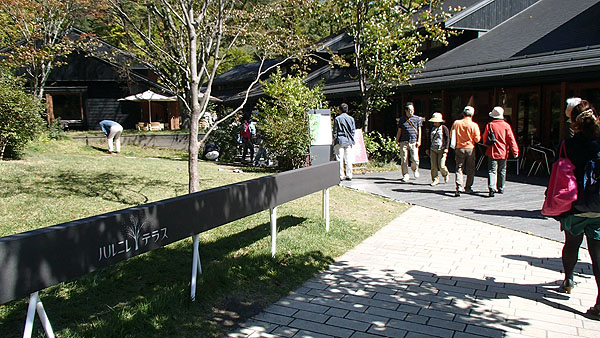 ハルニレテラス